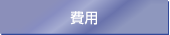費用